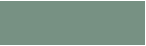 RA Super Brite Polyester 9107-Kiwi-Green
